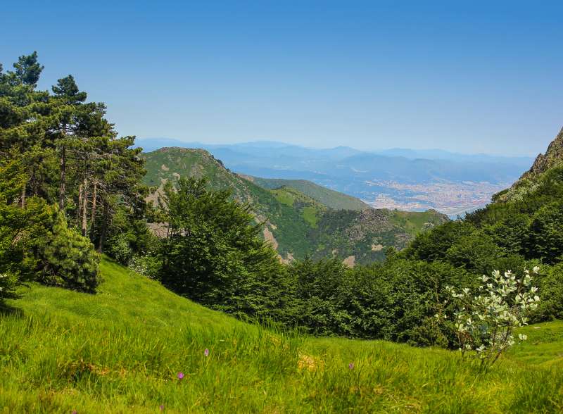 Parco del Beigua - Agriturismo Mioglia Munarin Caterina